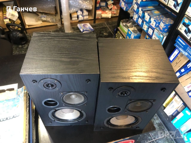 T+A Elektroakustik PP80 Тонколони, снимка 5 - Тонколони - 54362425