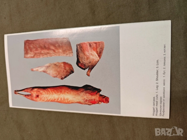 Родопа София и Родопа България рекламни брошури, снимка 3 - Други ценни предмети - 52883934