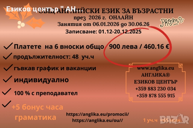 Индивидуално онлайн обучение по английски език за възрастни