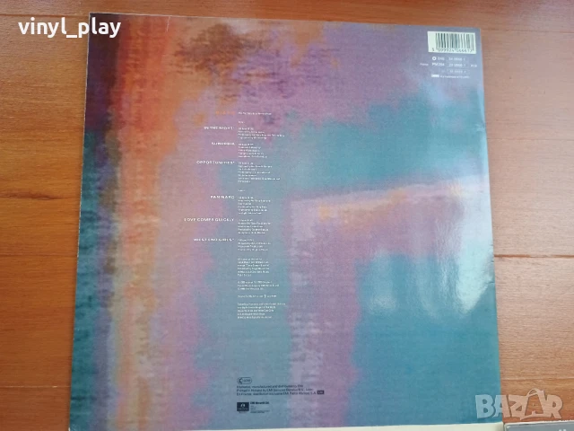 Maxi-Single  Pet Shop Boys и Eurythmics (12 inch Vinyl), снимка 6 - Грамофонни плочи - 51011948