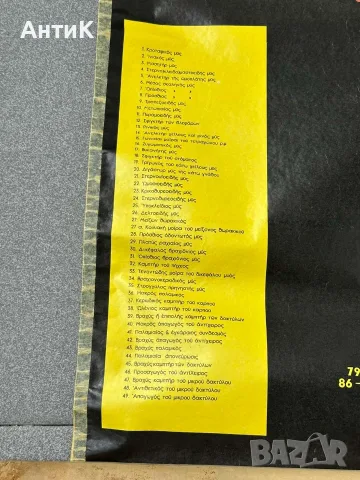 Медицински Анатомични Плакати Постери, снимка 8 - Специализирана литература - 56460115