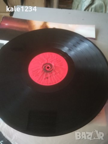 ВТА 11028. Bijelo dugme. Да доживееш 100. Грамофонна плоча. Биело дугме. Албум. Като нова! , снимка 4 - Грамофонни плочи - 40039009