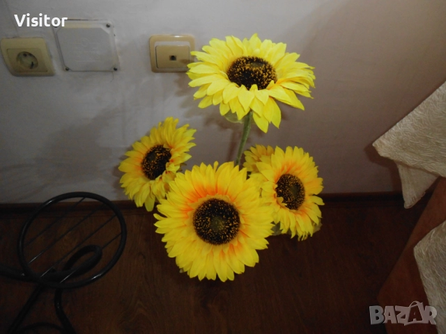 фотоапарат MAGINON Z1600 - 16.1 MPx, снимка 13 - Фотоапарати - 52429048