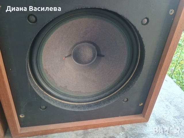 Vintage Тонколони Isophon 12" AlNiCo – За DIY проекти / Студийни монитори, снимка 4 - Тонколони - 54163016