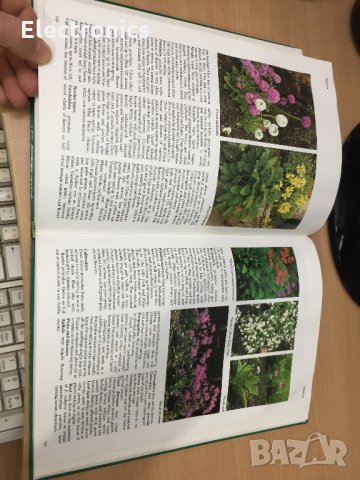 Цветна Енциклопедия - A-Z of perennials -Successful Gardening, снимка 13 - Енциклопедии, справочници - 30873235