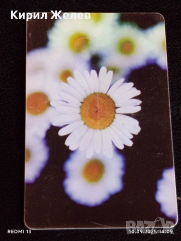 Две фонокарти БЕТКОМ, БУЛ ФОН тема ЦВЕТЯ ОРХИДЕЯ за КОЛЕКЦИЯ ДЕКОРАЦИЯ 42416, снимка 7 - Колекции - 51666283