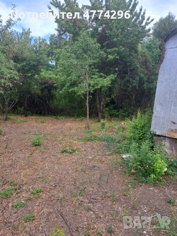 Продавам парцел в с. Смолско,общ. Мирково, снимка 4 - Парцели - 53937769