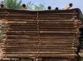 Дъбов /дървен материал, талпи - естествено сушен, снимка 4