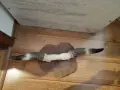 Рога закачалка за стена , снимка 1