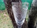 Кристални чаши за ракия - 4 бр., снимка 3