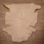 Голяма агнешка кожа, снимка 1