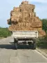 Малки Бали слама, снимка 3