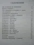 Хвърчила - книжка играчка - Р.Цветкова,Г.Богданов - 1989г., снимка 7