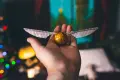 Harry Potter Шапка,Сова,снич и метли Nimbus 3000, снимка 3