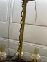 продавам старинен полилей от 1935г, снимка 14