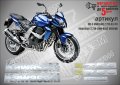 KAWASAKI Z 750 BLUE VERSION 2009 SM-K-KAWASAKI Z 750-BLV-09