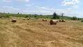 Рулонни бали- 2026 година! Меко ливадно сено , снимка 5