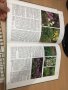 Цветна Енциклопедия - A-Z of perennials -Successful Gardening, снимка 13