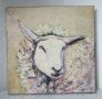 овца картина 40х40 оригинал маслени бои