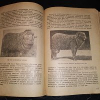 Овцевъдство, снимка 3 - Специализирана литература - 31306209