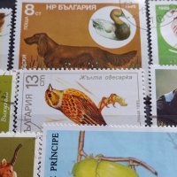 Пощенски марки смесени от цял свят ЖИВОТНИ за КОЛЕКЦИЯ 22615, снимка 6 - Филателия - 40344342