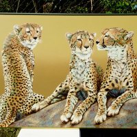 Гепарди Anderson,картина оригинал маслени бои 153 х 103 см., снимка 3 - Картини - 30495189
