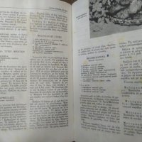 Νέα μαγειρική - ζαχαροπλαστική Кαι εγκυκλοπαίδεια της κουζίνας Χρύσα Παραδείση 1984 г., снимка 6 - Други - 29778613