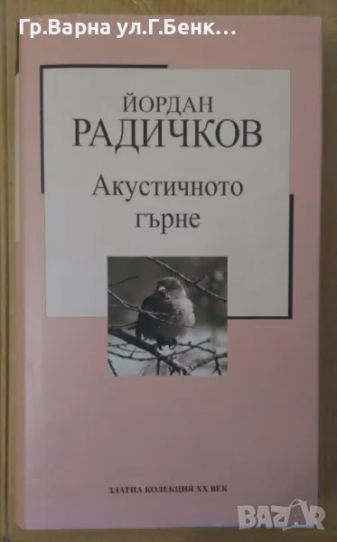 Акустичното гърне  Йордан Радичков 7лв, снимка 1