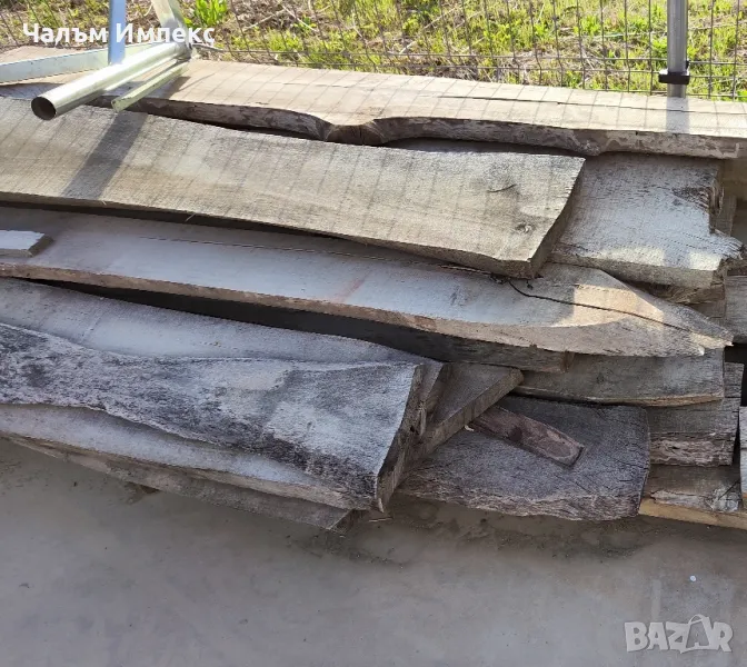 орех янове разнообразни, снимка 1