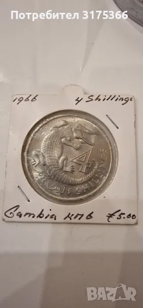 4 шилинга 1966 Гамбия proof , снимка 1