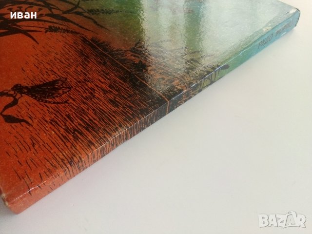 От ловджийската чанта - Рудо Мориц - 1984г., снимка 5 - Детски книжки - 36816560