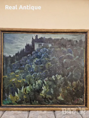 Венко Петров- Пейзаж масло автор платно , снимка 3 - Картини - 49208567