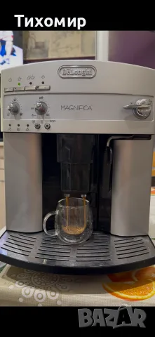 Delongho magnifica
