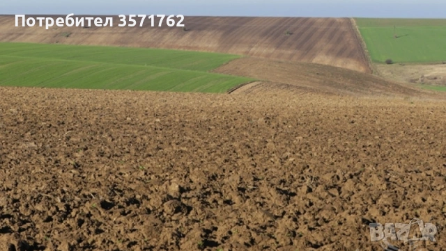 Нива 2 категория, село Садовец, община Долни Дъбник 