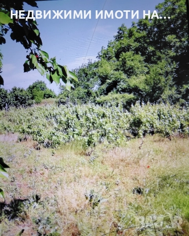 Вила в село Червен, снимка 9 - Вили - 52660493