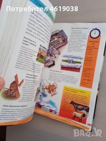 Книга 1000 въпроса и отговора, снимка 6 - Детски книжки - 55875397