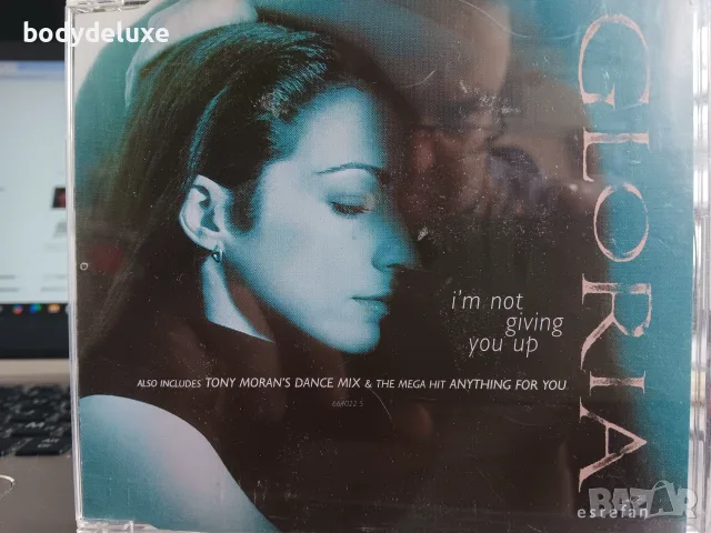 Gloria Estefan аудио дискове, снимка 5 - CD дискове - 33155342
