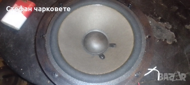 мидбасов говорител 