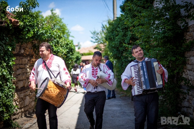 Оркестър Елит фолк, снимка 10 - Dj - 11157356