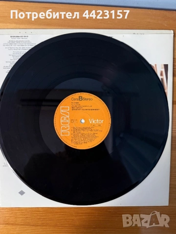 Rick Astley - Whenever You Need Somebody, снимка 4 - Грамофонни плочи - 53977108