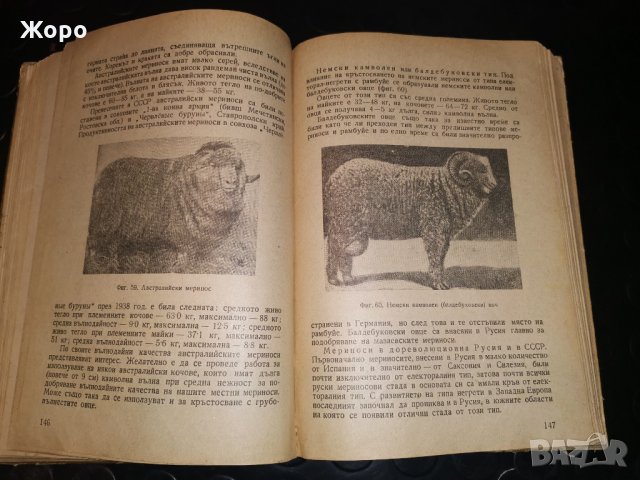 Овцевъдство, снимка 3 - Специализирана литература - 31306209