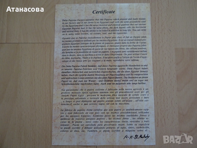 Египетски папирус със сертификат картина, снимка 6 - Картини - 54152541