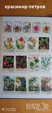 Пощенски марки колекция, снимка 6 - Филателия - 37430902