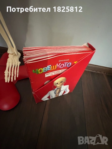 АНАТОМИЧЕН МОДЕЛ НА ЧОВЕШКО ТЯЛО, снимка 5 - Други игри и конзоли - 54199808