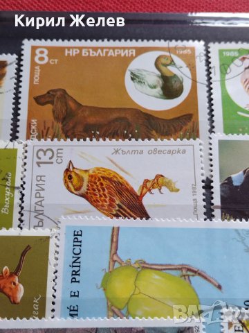 Пощенски марки смесени от цял свят ЖИВОТНИ за КОЛЕКЦИЯ 22615, снимка 6 - Филателия - 40344342