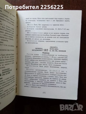 Нашите гъби, снимка 2 - Специализирана литература - 50161207
