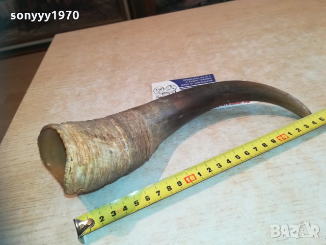 рог за колекция 0511201242, снимка 6 - Колекции - 30682903