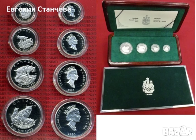 инвестиционен платинен сет платина 55 грама сертификат монети