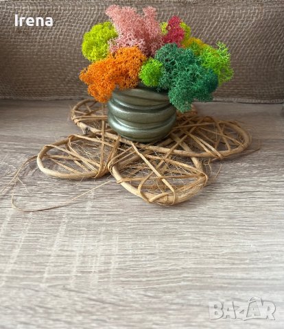 Кашпи със скандинавски мъх 8,50, снимка 15 - Декорация за дома - 42840962