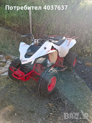 Can-Am DS 250 2009 , снимка 9 - Мотоциклети и мототехника - 52060885